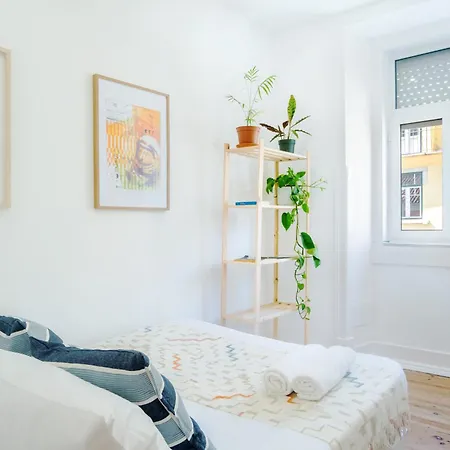 Apartment Graca *