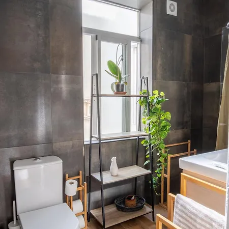 Apartment Graca